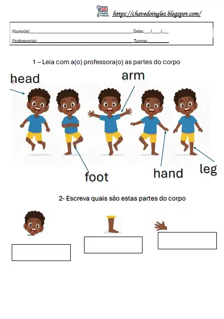 Plano de aula com partes do corpo