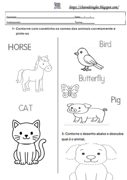 Atividade de animais em inglês