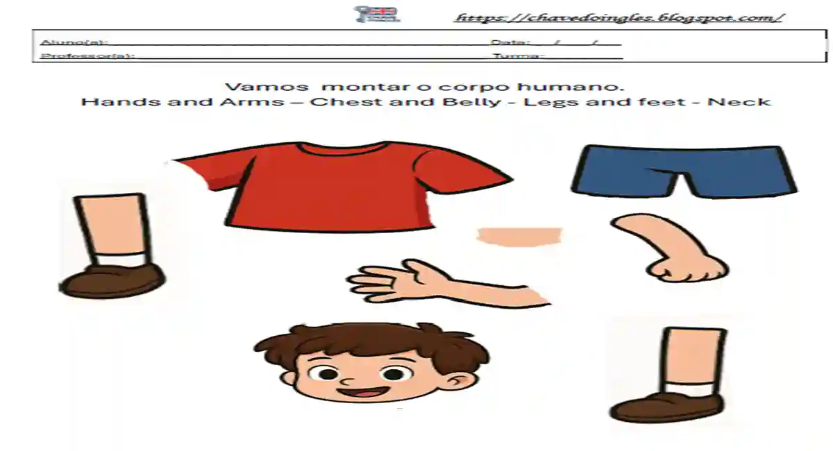 Atividade de Inglês: Partes do Corpo para o 1º Ano